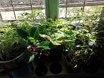     
: 2014-03-30 12.05.26.jpg
: 31
:	205.4 
ID:	7930258