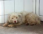     
: IMG_0802.jpg
: 36
:	124.9 
ID:	7930932
