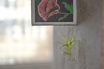     
: DSC_0102.jpg
: 10
:	56.6 
ID:	7933851