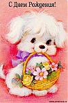     
: drchild.jpg
: 6
:	55.0 
ID:	79343
