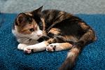     
: DSC_1396.jpg
: 3
:	73.3 
ID:	7937462