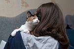     
: DSC_1418.jpg
: 2
:	50.5 
ID:	7937467