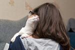     
: DSC_1420.jpg
: 3
:	49.8 
ID:	7937468