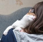     
: Image3.jpg
: 10
:	70.1 
ID:	7937507