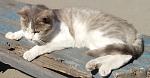     
: IMG_20140331_114239.jpg
: 8
:	88.2 
ID:	7938459