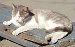     
: IMG_20140331_114242.jpg
: 13
:	103.5 
ID:	7938461
