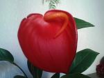     
: 2014-03-30 17.54.48.jpg
: 4
:	79.3 
ID:	7938500