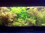     
: IMG_31-03-2014_120614.jpg
: 30
:	182.6 
ID:	7939659