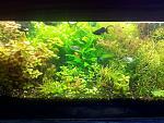     
: IMG_20140331_120710.jpg
: 38
:	196.4 
ID:	7939661