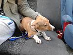     
: 20140330_170355.jpg
: 9
:	173.8 
ID:	7942259
