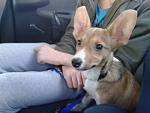     
: 20140330_172935.jpg
: 5
:	96.2 
ID:	7942265