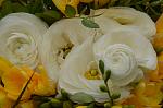     
: SIR_0837.jpg
: 6
:	81.3 
ID:	7943792