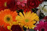     
: SIR_0849.jpg
: 6
:	131.3 
ID:	7943808