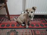     
: 20140331_184357.jpg
: 7
:	125.5 
ID:	7945220
