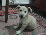     
: 20140331_184556.jpg
: 9
:	139.6 
ID:	7945225