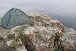     
: IMG_8635.jpg
: 14
:	216.0 
ID:	7946301