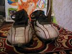     
: DSCN1826.jpg
: 17
:	102.6 
ID:	7946423