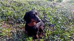     
: IMG_20140402_164724.jpg
: 3
:	245.8 
ID:	7947797