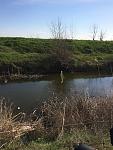     
: IMG_0624.jpg
: 5
:	115.5 
ID:	7948948