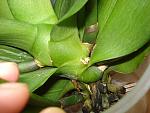     
: DSC02467.jpg
: 16
:	140.4 
ID:	7949191