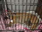     
: 20140402_190252.jpg
: 15
:	167.2 
ID:	7950022