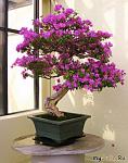     
: 196407_7191-0x600.jpg
: 37
:	67.6 
ID:	7951738