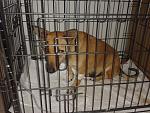     
: 20140403_185411.jpg
: 15
:	163.1 
ID:	7957582