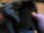     
: DSCN1908.jpg
: 8
:	56.0 
ID:	7957658