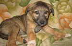     
: IMG_8706.jpg
: 3
:	157.1 
ID:	7959471