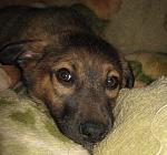     
: IMG_8719.jpg
: 2
:	132.2 
ID:	7959475