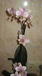     
: IMG_3102.jpg
: 8
:	51.3 
ID:	7960634