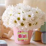     
: cb9a0bd80fc2.jpg
: 7
:	17.4 
ID:	7965549