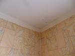     
: SAM_5344.JPG
: 33
:	229.3 
ID:	7965652