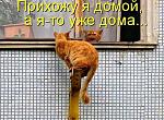     
: getImageT7BRXU8G.jpg
: 6
:	100.3 
ID:	7967069