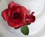     
: set No 3 -  red roses - 3.jpg
: 165
:	165.9 
ID:	7968761