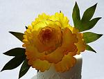     
: peony yellow - 1.jpg
: 148
:	172.1 
ID:	7968762