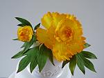     
: peony - 3ed.jpg
: 170
:	248.9 
ID:	7968763