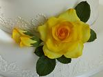     
: rose yellow - 2.jpg
: 151
:	163.3 
ID:	7968769
