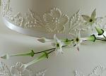     
: stephanotis - 1ed.jpg
: 165
:	121.8 
ID:	7968780