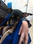     
: IMG_20140405_181140.jpg
: 33
:	85.4 
ID:	7969384