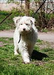     
: IMG_0805.jpg
: 9
:	94.7 
ID:	7970263