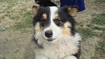     
: DSC09771.jpg
: 15
:	128.5 
ID:	7970563
