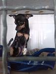     
: IMG_20140406_100602.jpg
: 10
:	69.7 
ID:	7971055