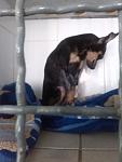     
: IMG_20140406_100726.jpg
: 13
:	60.6 
ID:	7971057