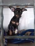     
: IMG_20140406_100556.jpg
: 12
:	66.5 
ID:	7971059