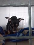     
: IMG_20140406_100549.jpg
: 8
:	61.1 
ID:	7971060