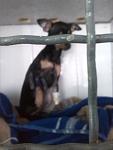     
: IMG_20140406_100538.jpg
: 9
:	56.4 
ID:	7971061