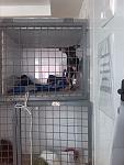     
: IMG_20140406_095902.jpg
: 10
:	97.8 
ID:	7971065