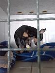     
: IMG_20140406_100853.jpg
: 9
:	63.1 
ID:	7971066