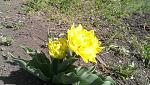     
: IMAG0109.jpg
: 3
:	202.7 
ID:	7973751